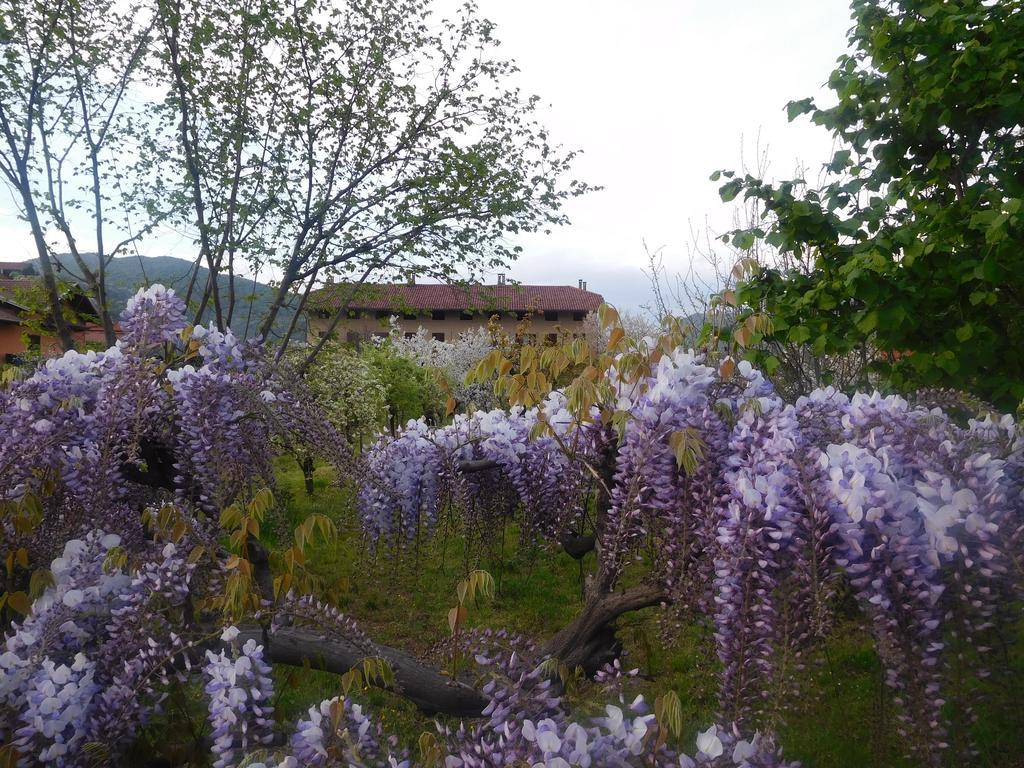 U Tej Bed & Breakfast Cumiana Dış mekan fotoğraf