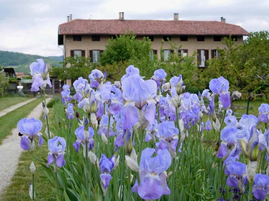 U Tej Bed & Breakfast Cumiana Dış mekan fotoğraf