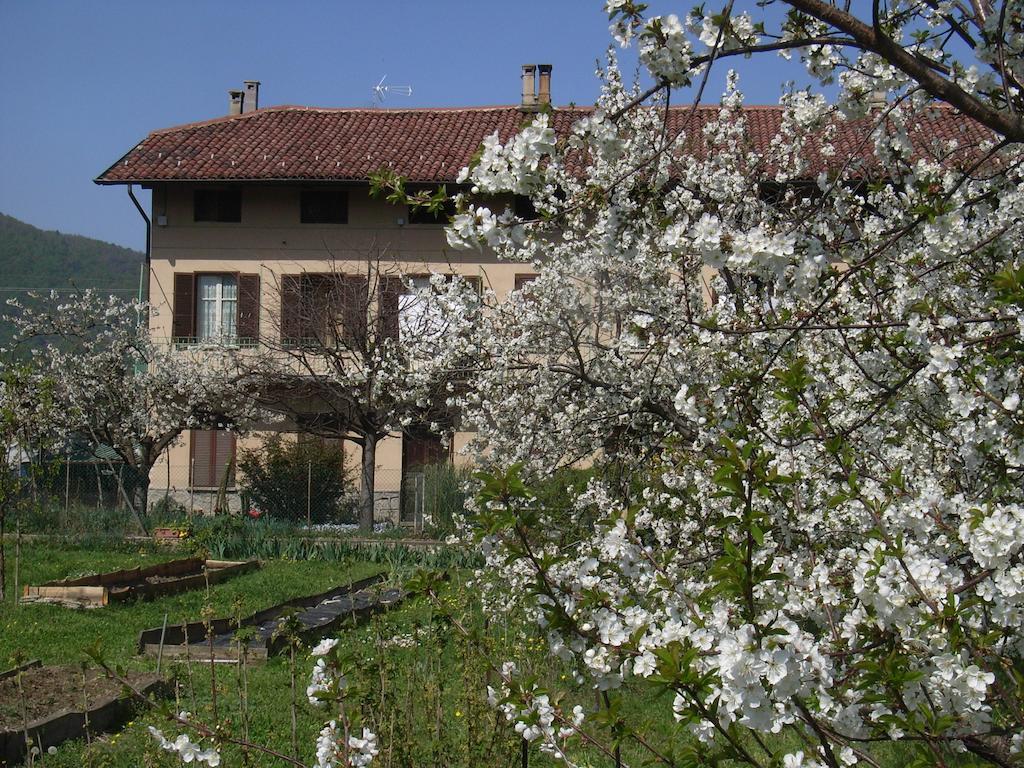 U Tej Bed & Breakfast Cumiana Dış mekan fotoğraf